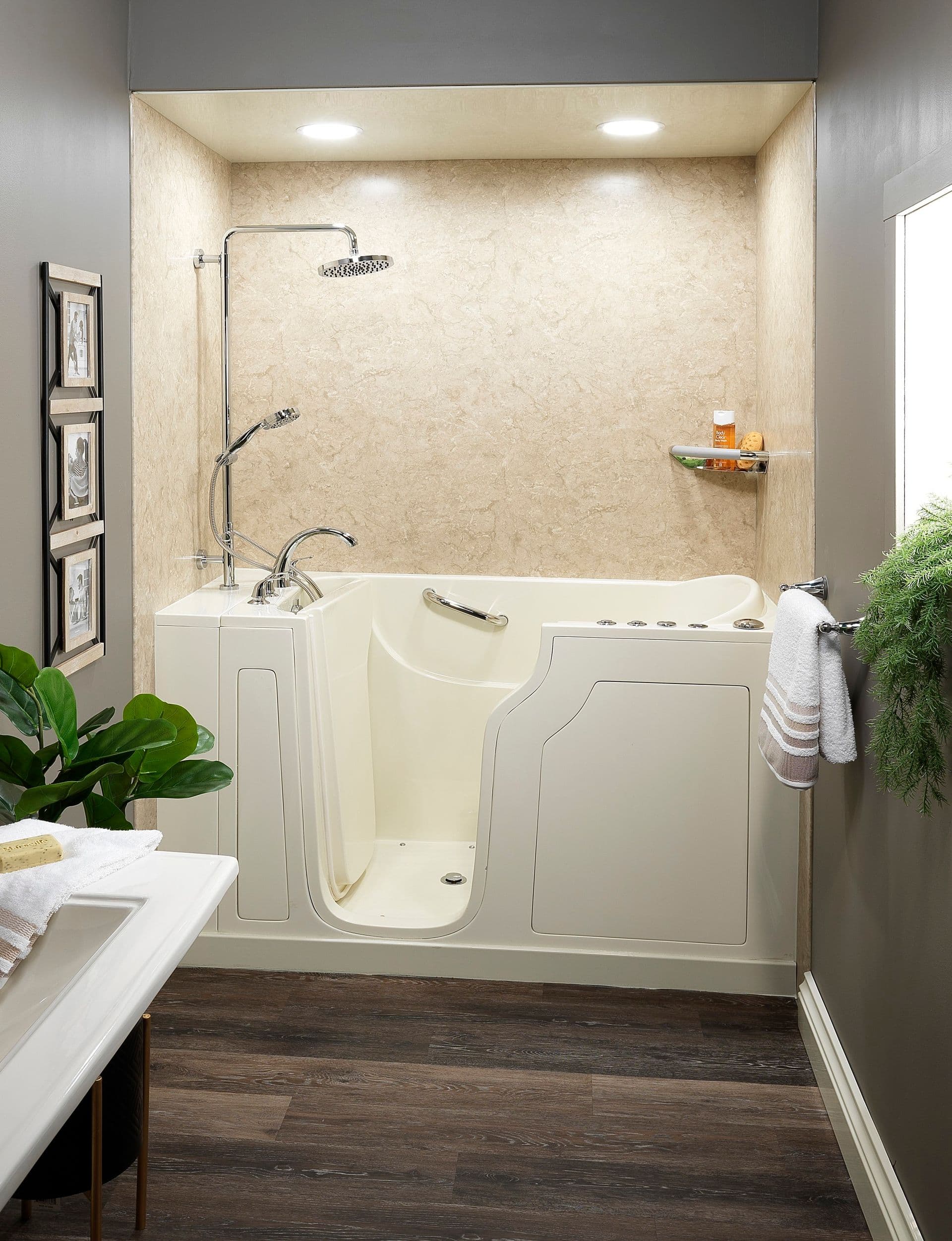 accessible bath shower